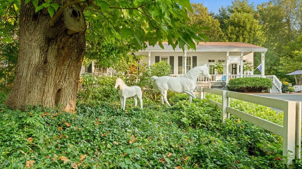 Photo of Outdoor in Bon Air