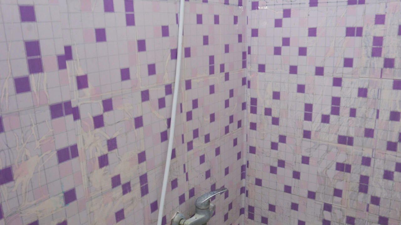 Photo of Bathroom in Krui