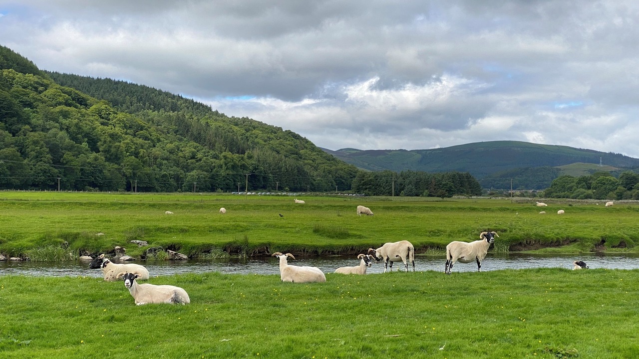 Photo of Others in Walkerburn