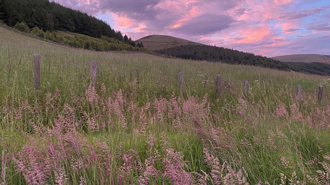 Photo of Others in Walkerburn