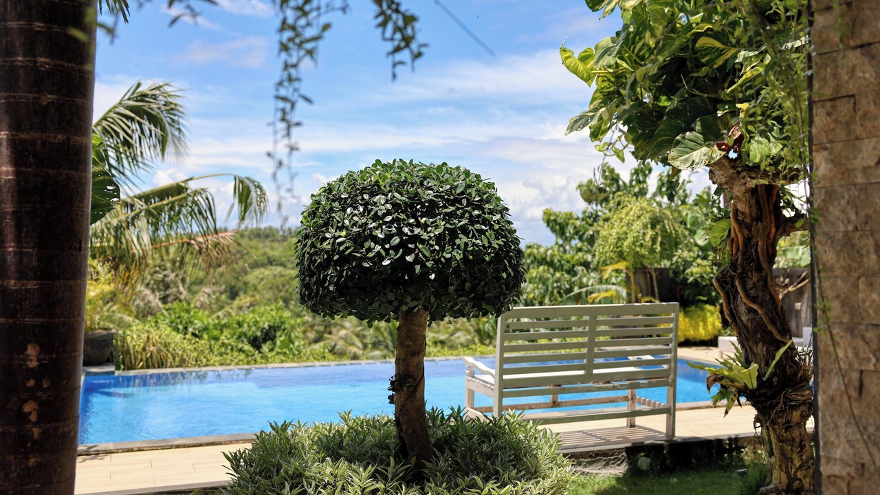 Photo of Outdoor in Penida Island
