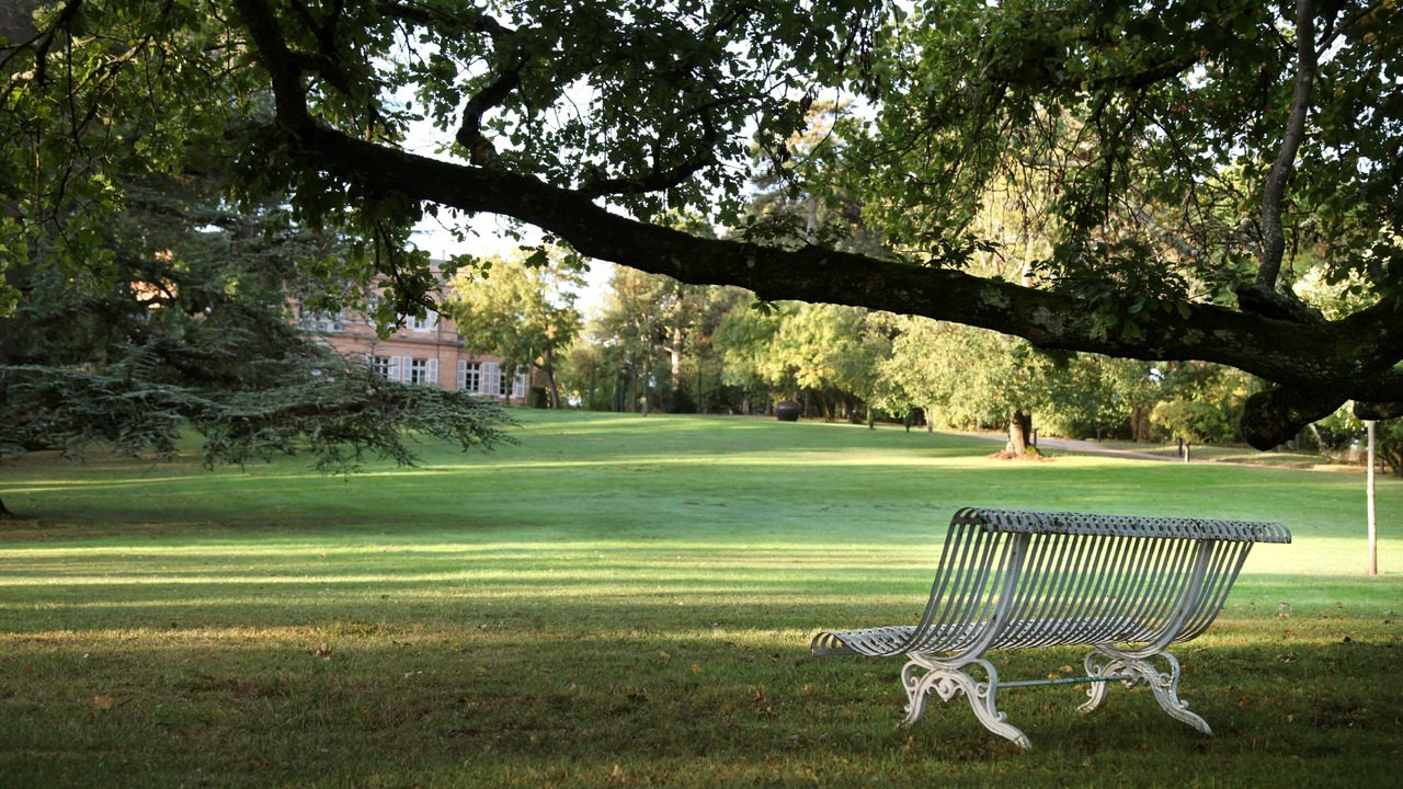 Photo of Outdoor in Montgeard