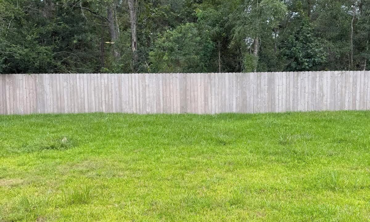 Photo of Others in Montgomery County