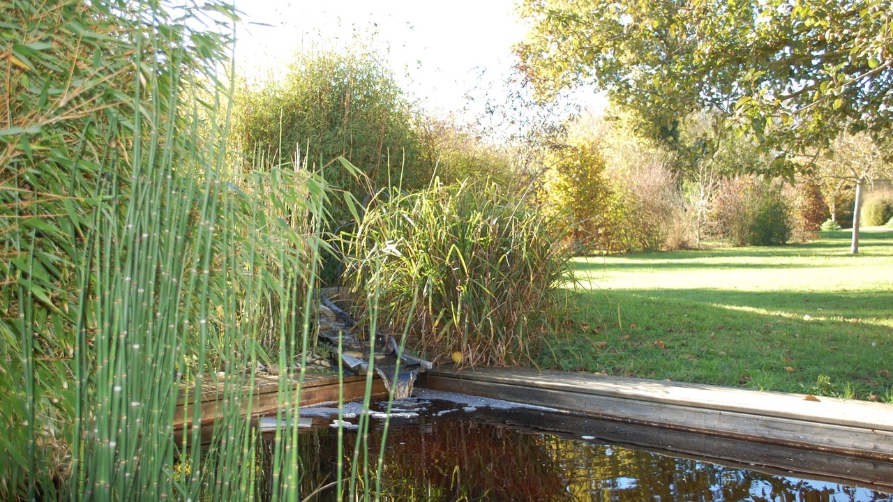 Photo of Outdoor in Tracy-sur-Mer