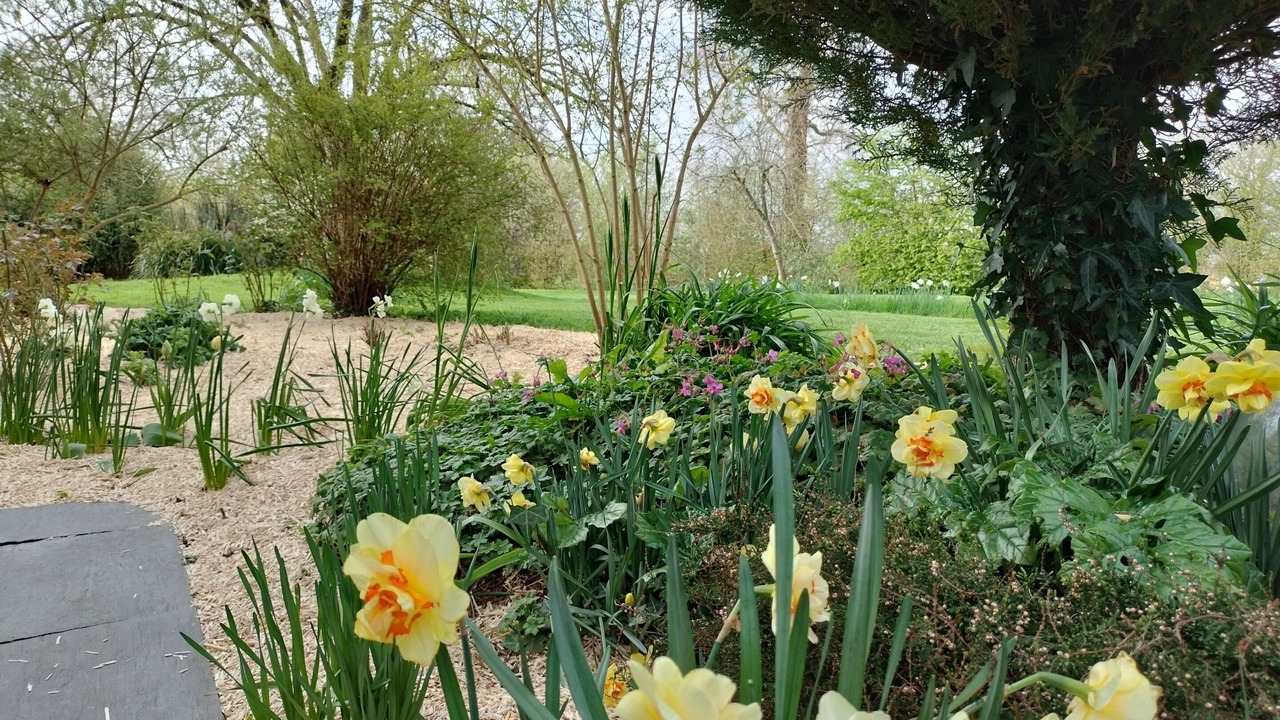 Photo of Outdoor in Tracy-sur-Mer