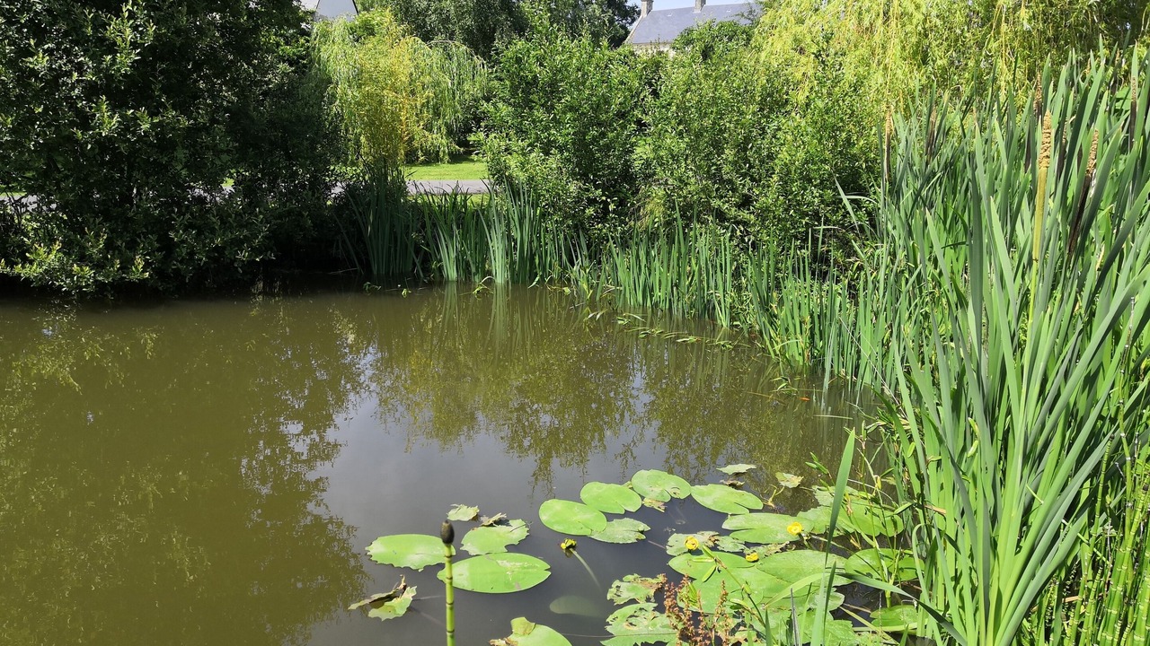 Photo of Outdoor in Tracy-sur-Mer