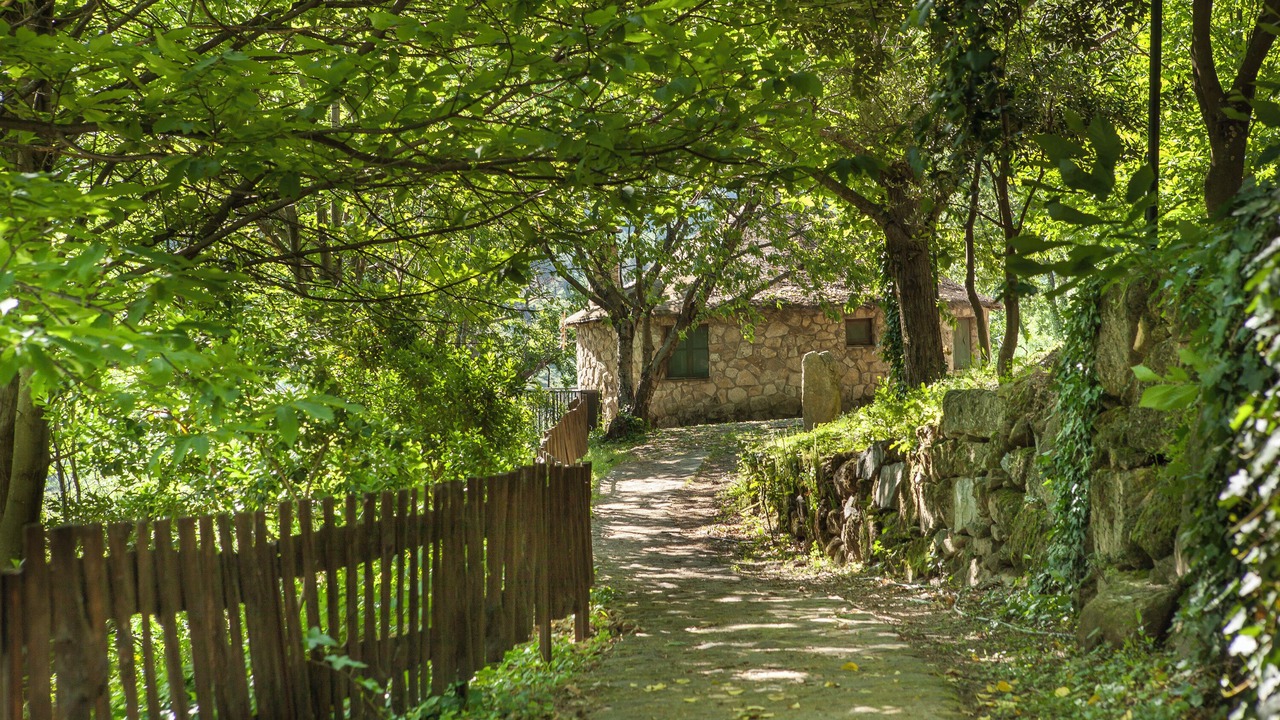 Photo of Outdoor in Banos de Montemayor