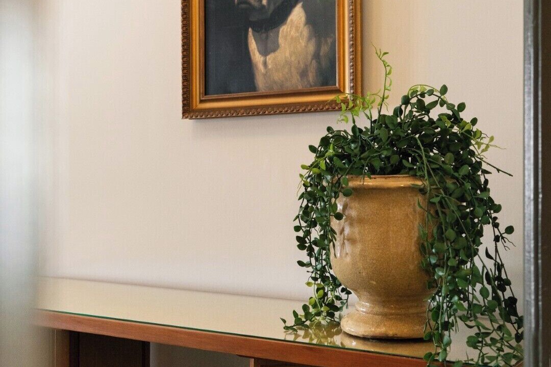 Photo of Bedroom in Beverly Hills