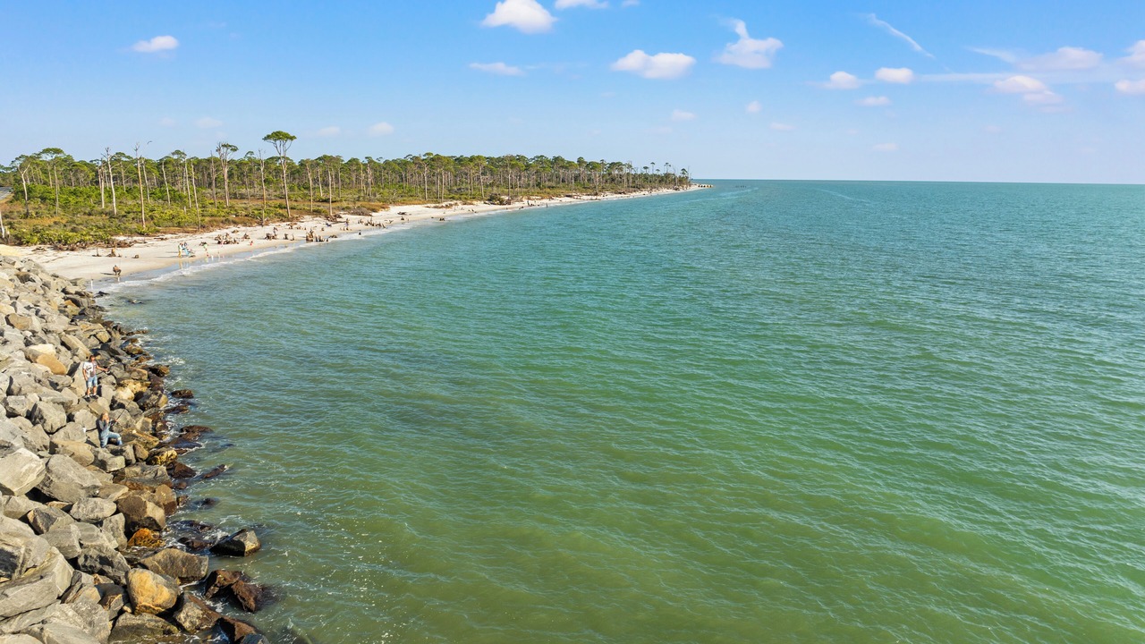 Photo of Others in Port St. Joe