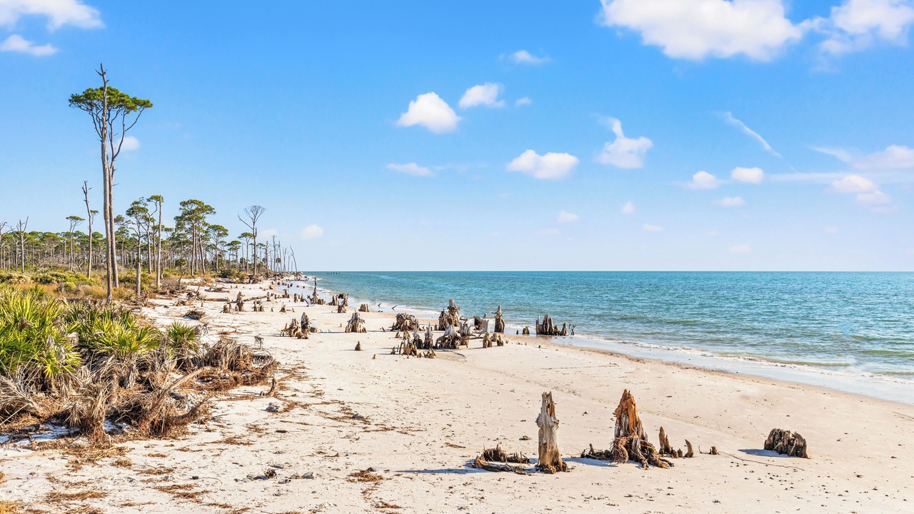 Photo of Others in Port St. Joe