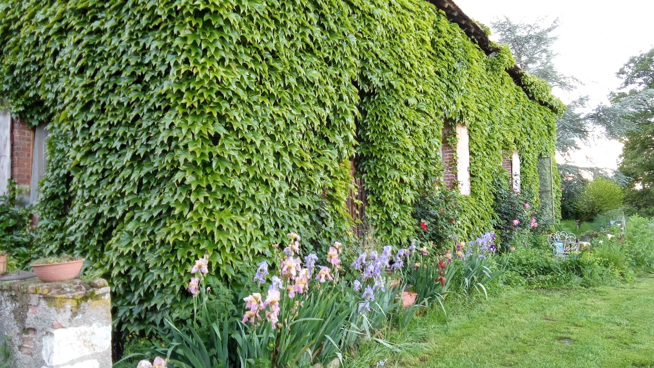 Photo of Outdoor in Verneix