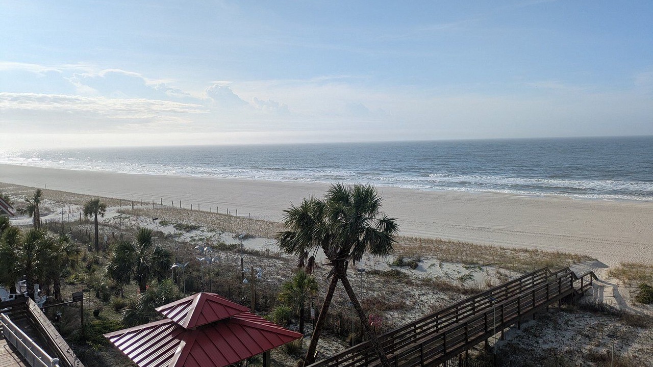 Photo of Others in Mexico Beach