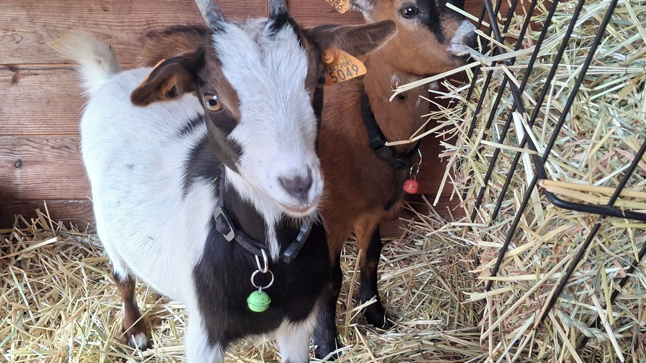 Photo of Outdoor in Saint-Amand-les-Eaux