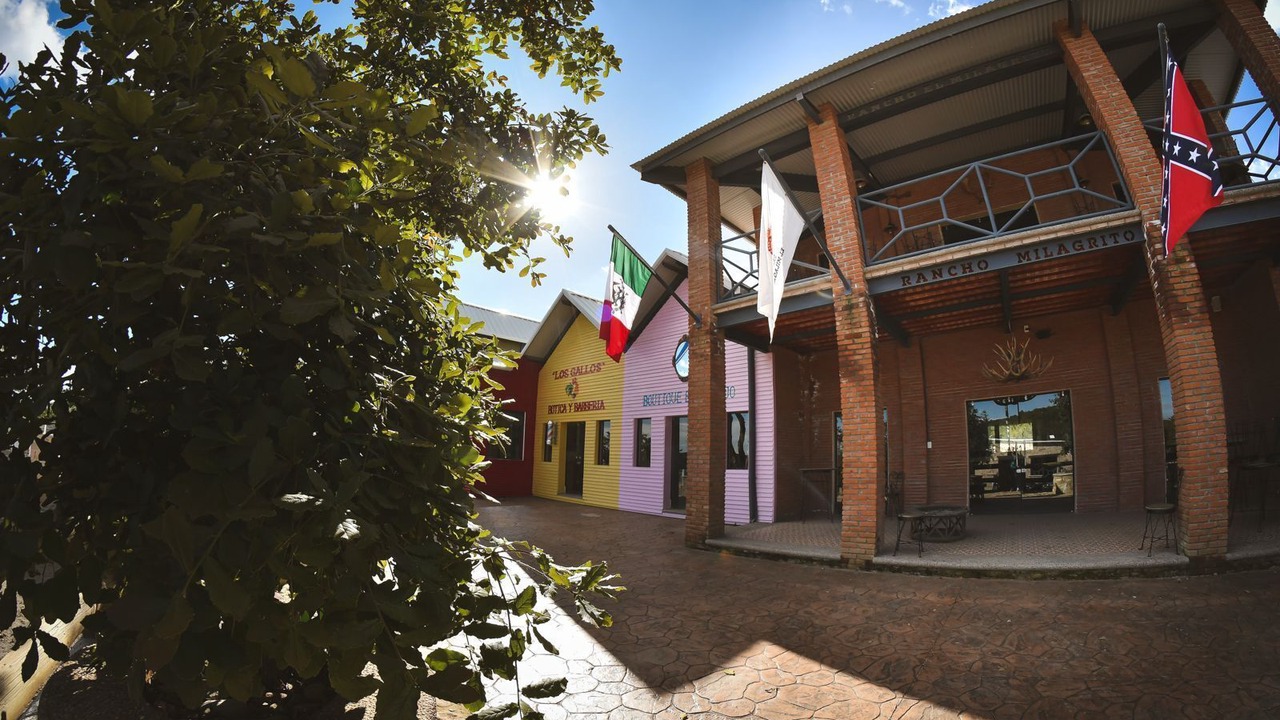 Photo of Outdoor in Santa Rosa