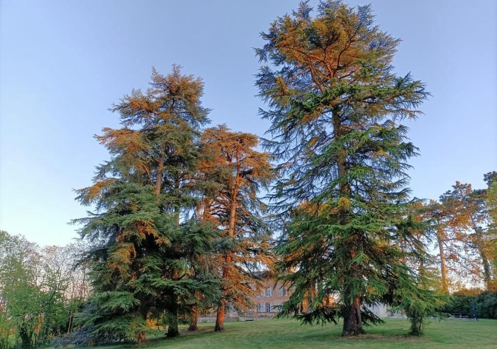 Photo of Outdoor in Lavaur