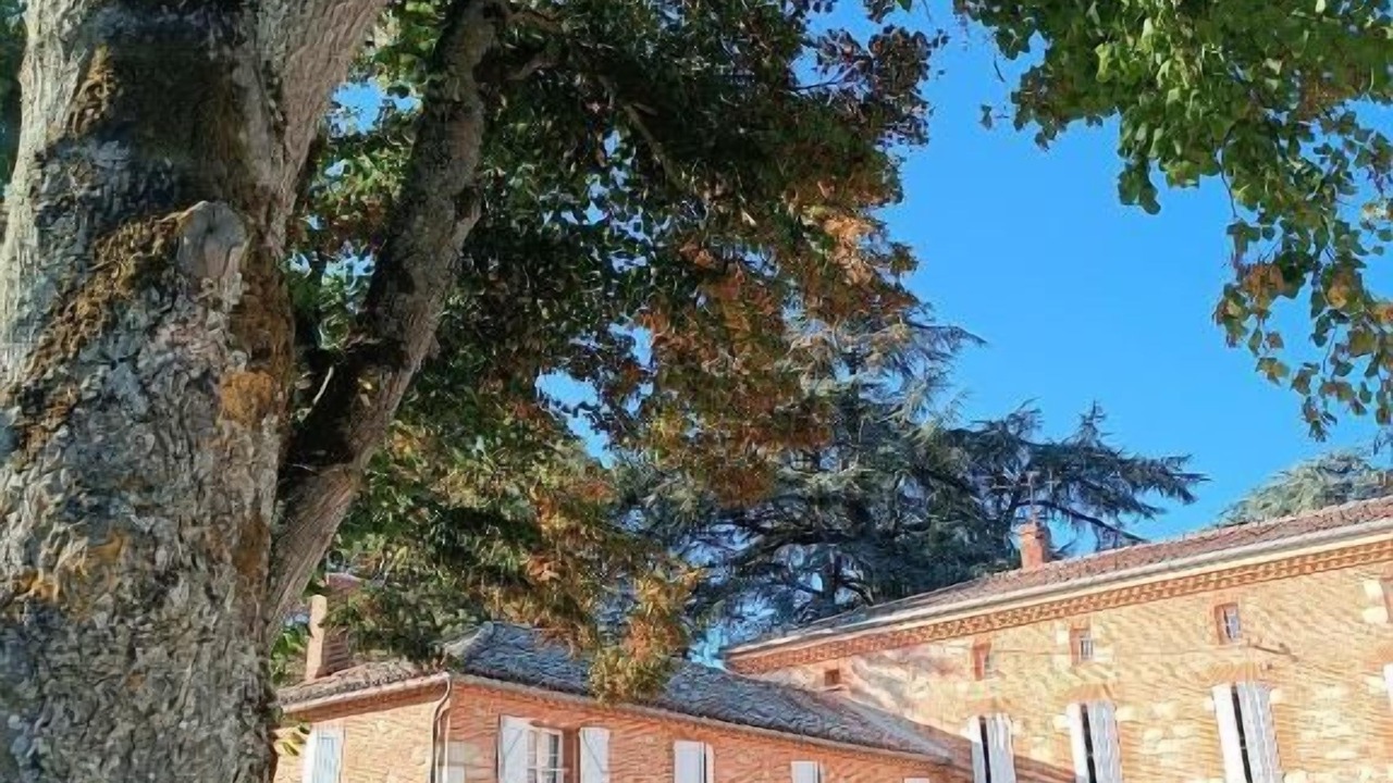 Photo of Outdoor in Lavaur