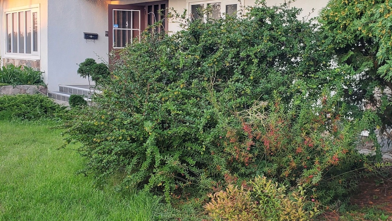 Photo of Outdoor in Regina