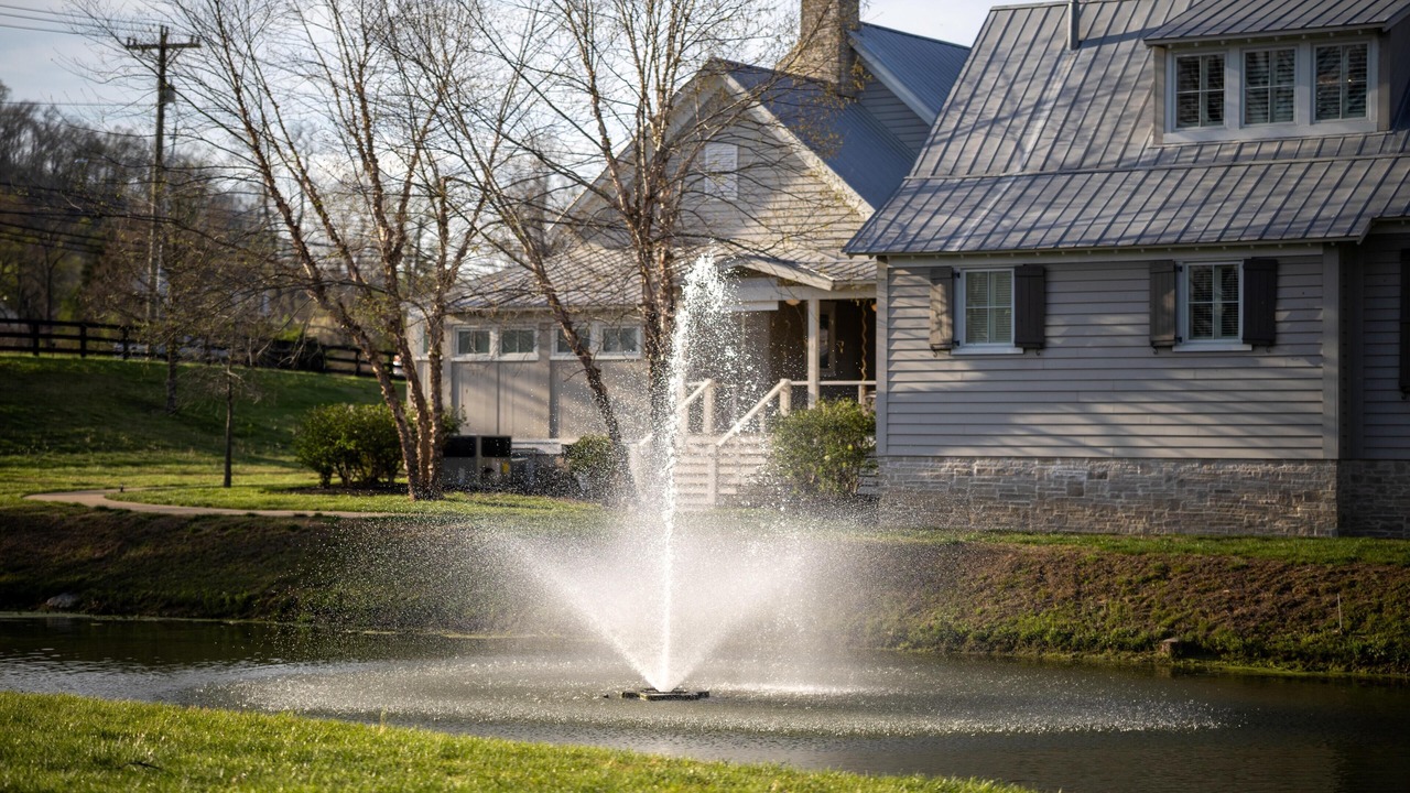 Photo of Outdoor in Whites Creek