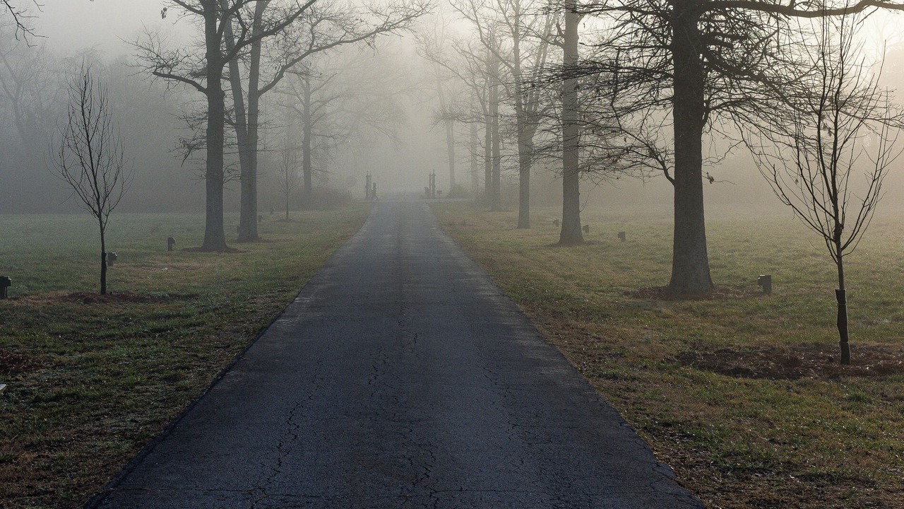 Photo of Outdoor in Whites Creek
