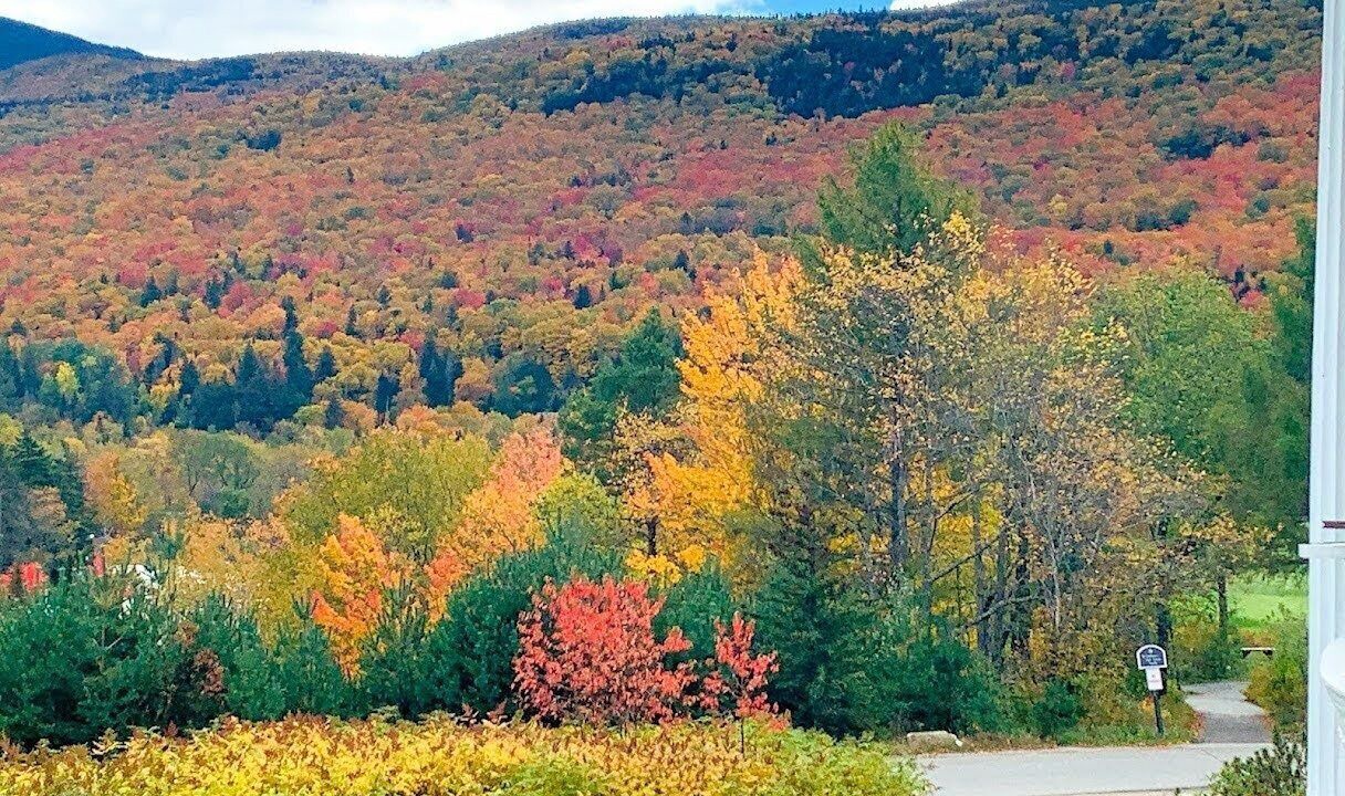 Photo of Others in Bretton Woods