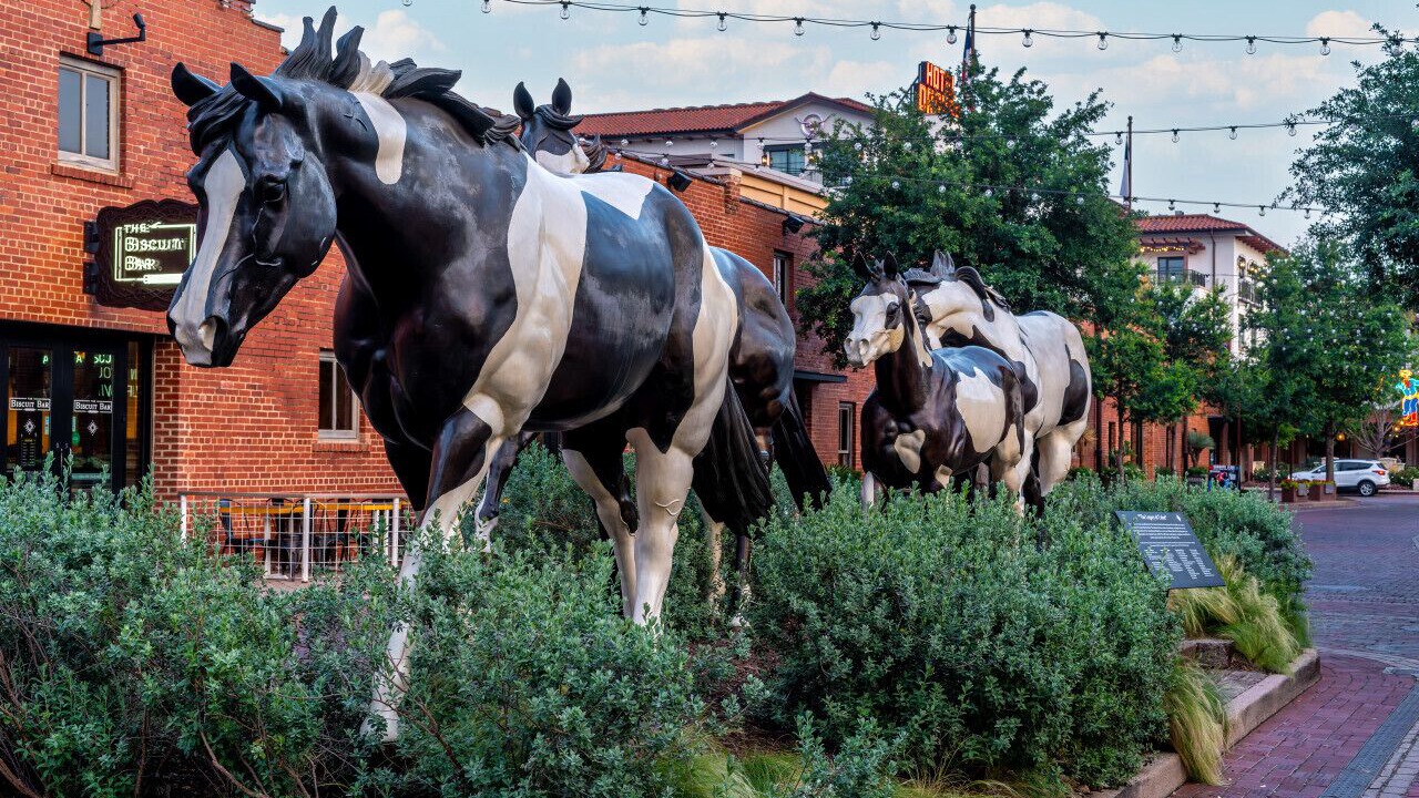 Photo of Others in Fort Worth
