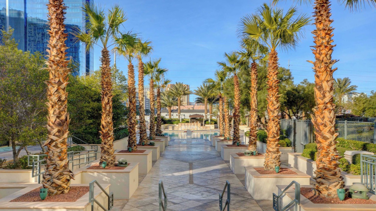 Photo of Others in Las Vegas