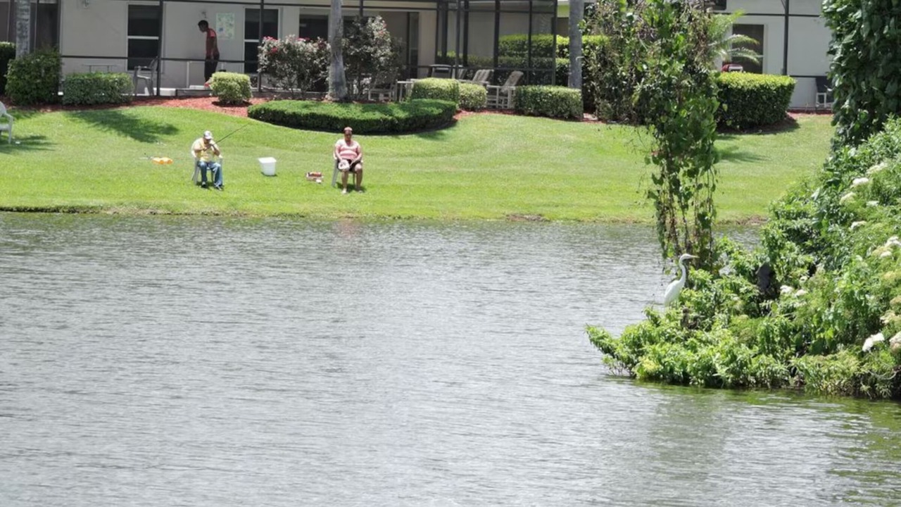 Photo of Others in Lake Berkley