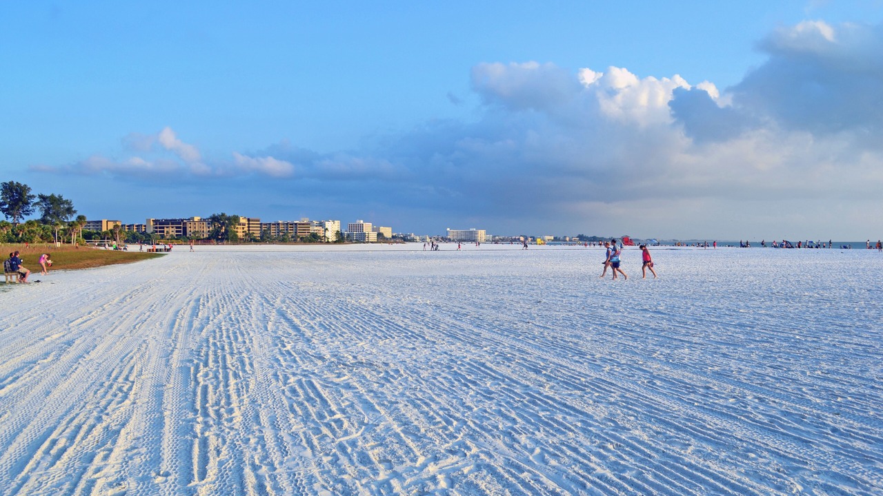 Photo of Others in Siesta Key