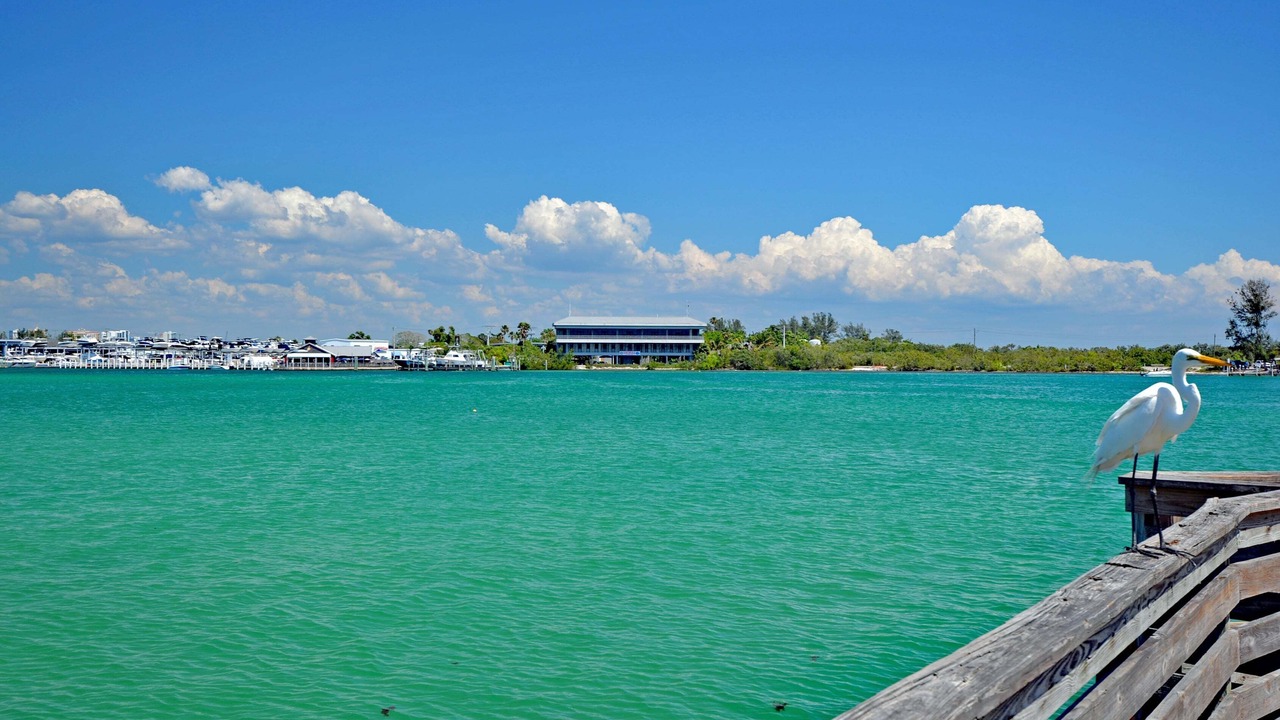 Photo of Others in Siesta Key