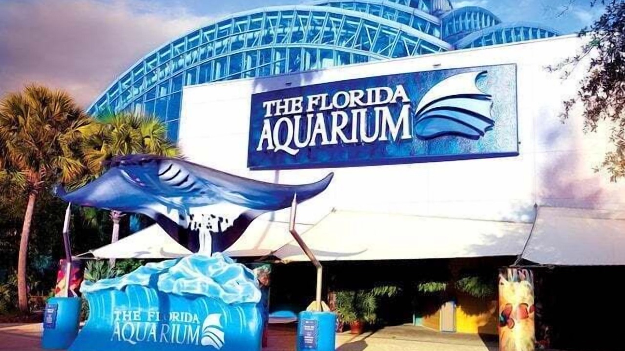 Photo of Others in Ybor City