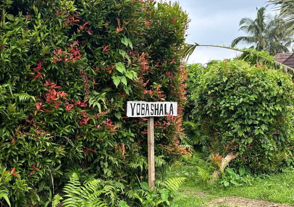 Photo of Outdoor in East Selemadeg