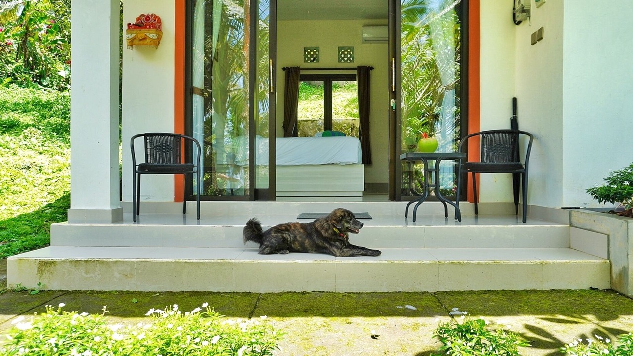 Photo of Bedroom in East Selemadeg