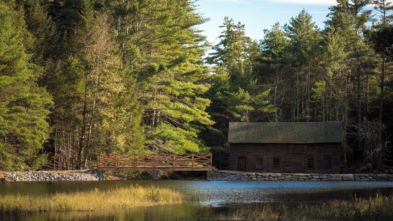 Photo of Outdoor in Sparrow Bush