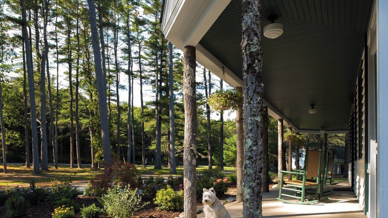 Photo of Outdoor in Sparrow Bush