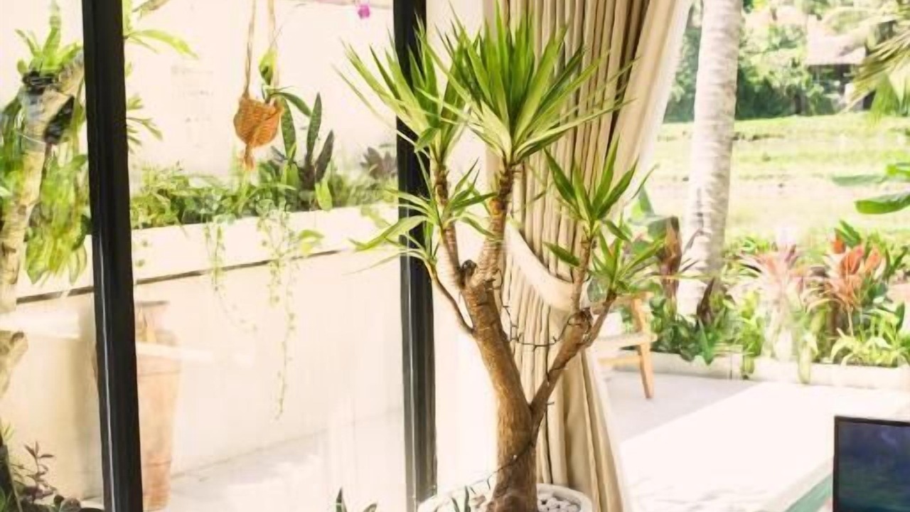 Photo of Patio Balcony in Pejeng