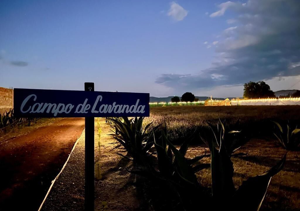 Photo of Others in Texcoco de Mora