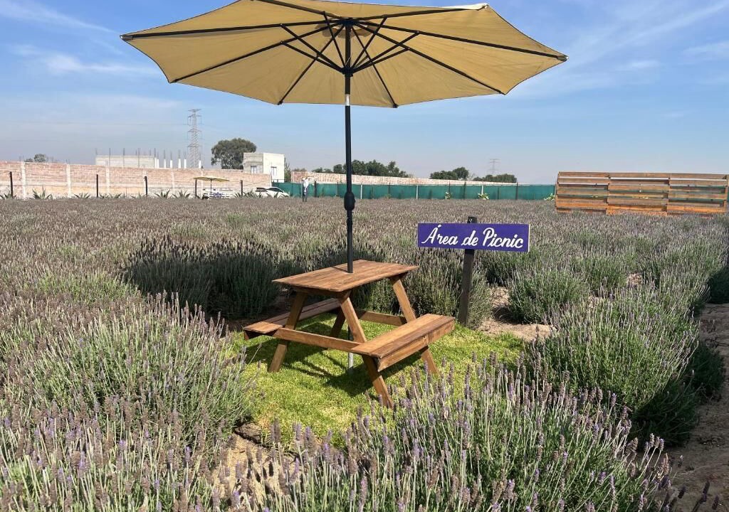 Photo of Outdoor in Texcoco de Mora