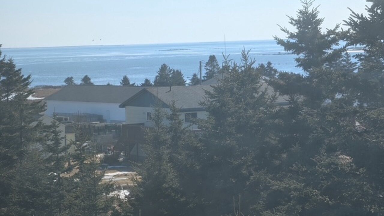 Photo of Bedroom in Shag Harbour