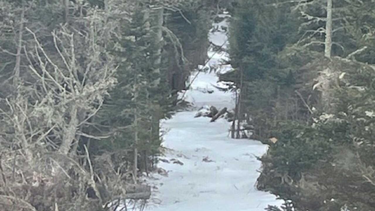 Photo of Outdoor in Shag Harbour