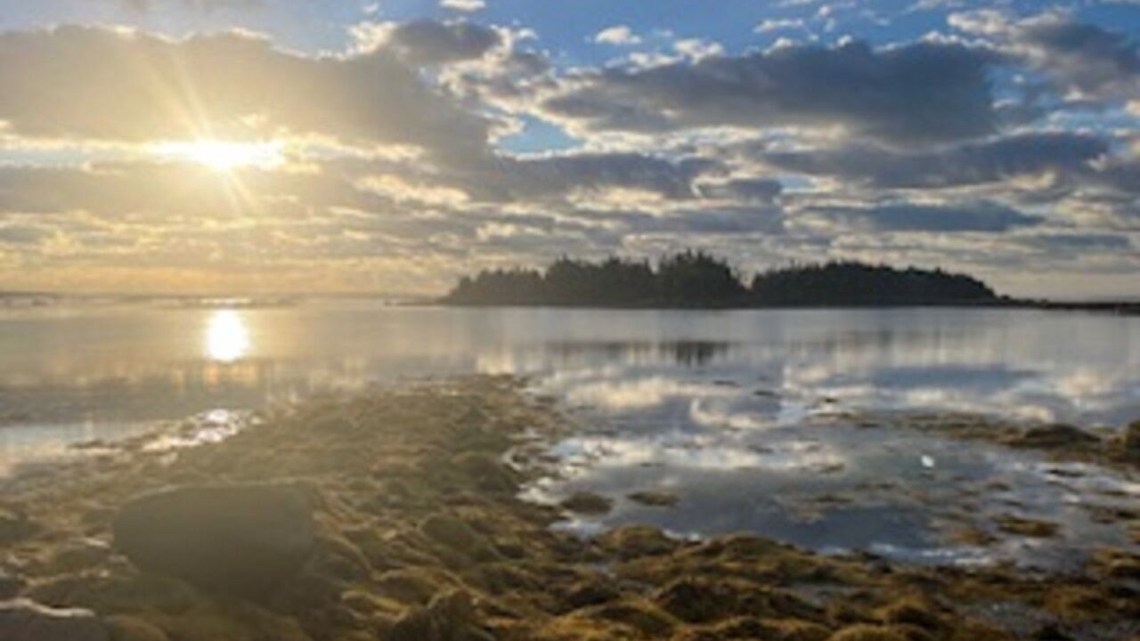 Photo of Outdoor in Shag Harbour