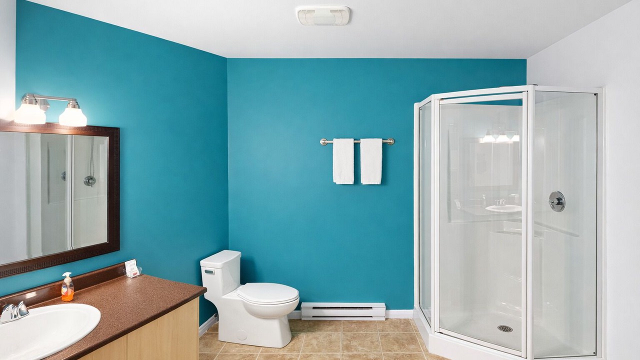 Photo of Bathroom in Thetford Mines