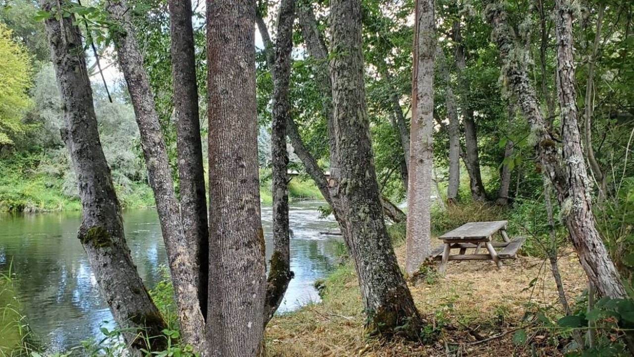 Photo of Others in Jacksonville