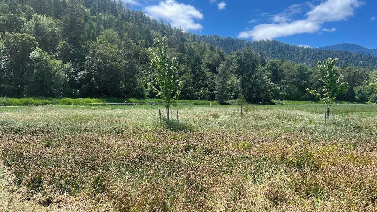 Photo of Others in Jacksonville