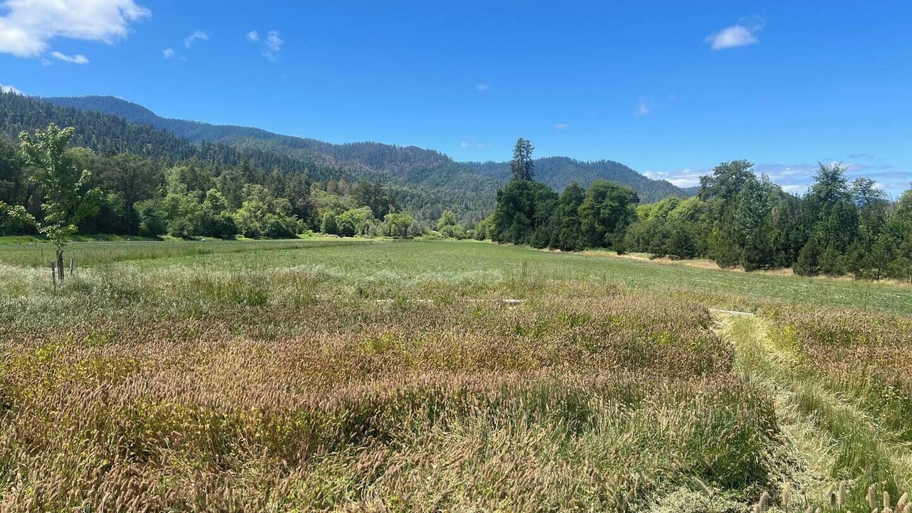 Photo of Others in Jacksonville