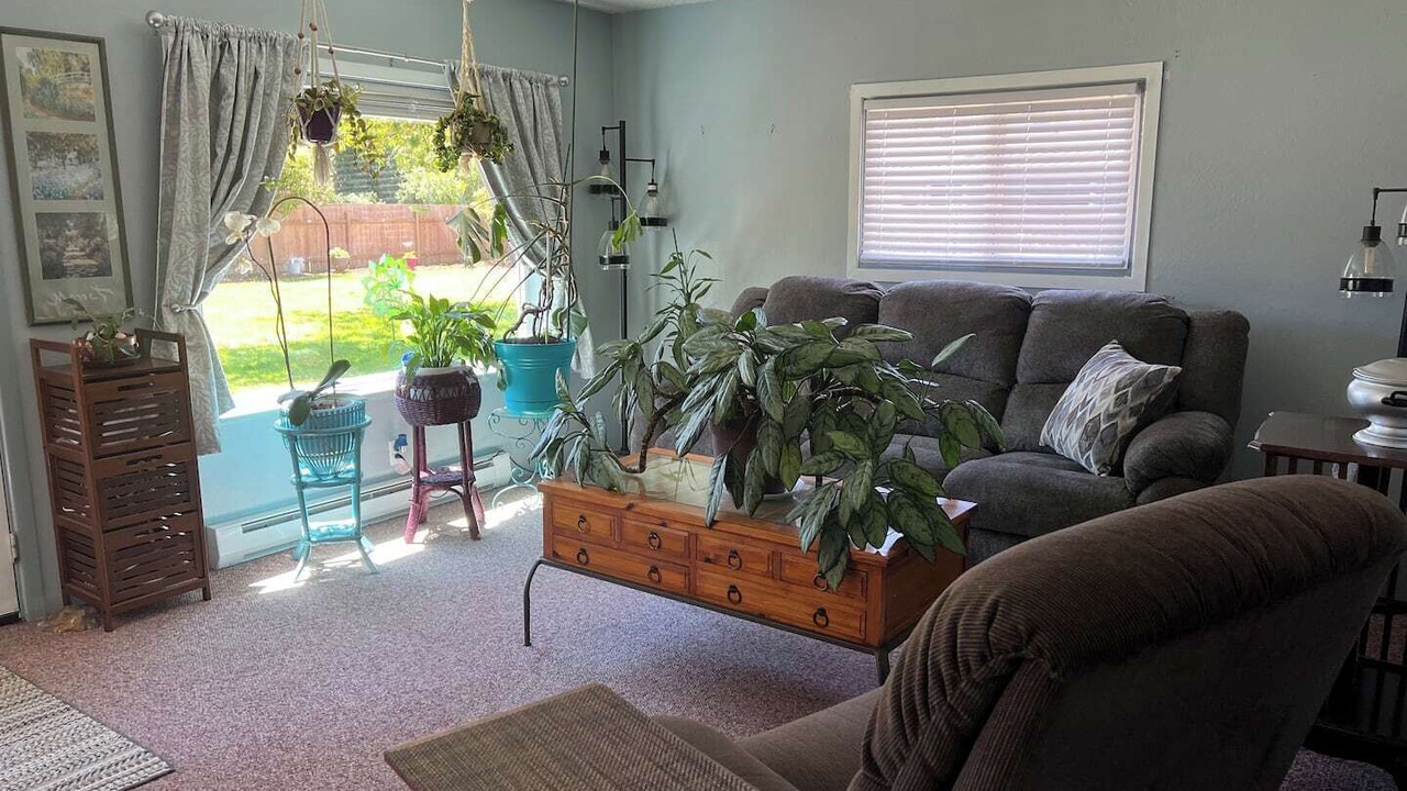 Photo of Others in Barview