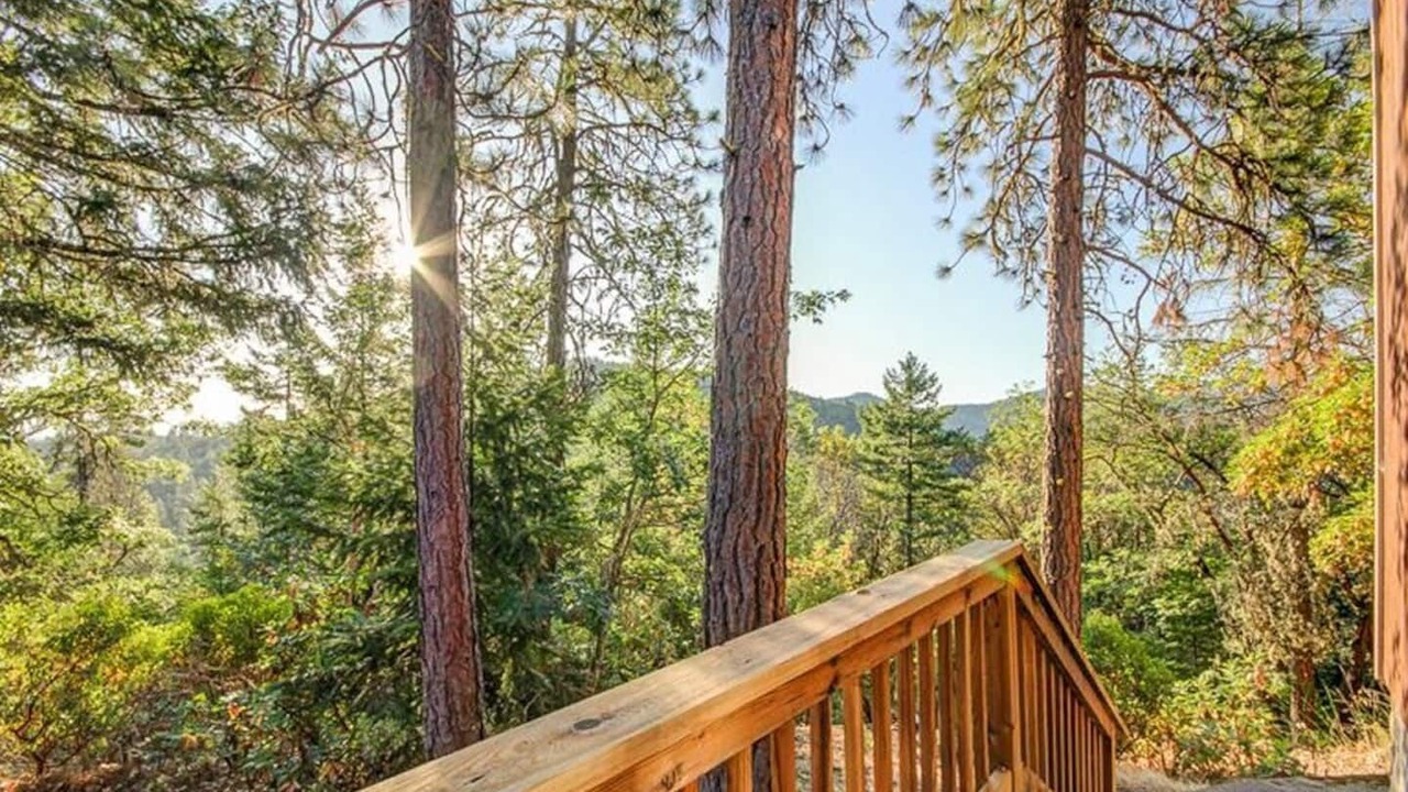 Photo of Others in Jacksonville