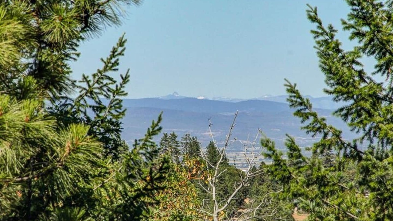 Photo of Others in Jacksonville