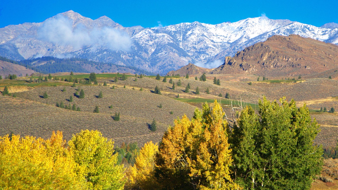 Photo of Others in Ketchum