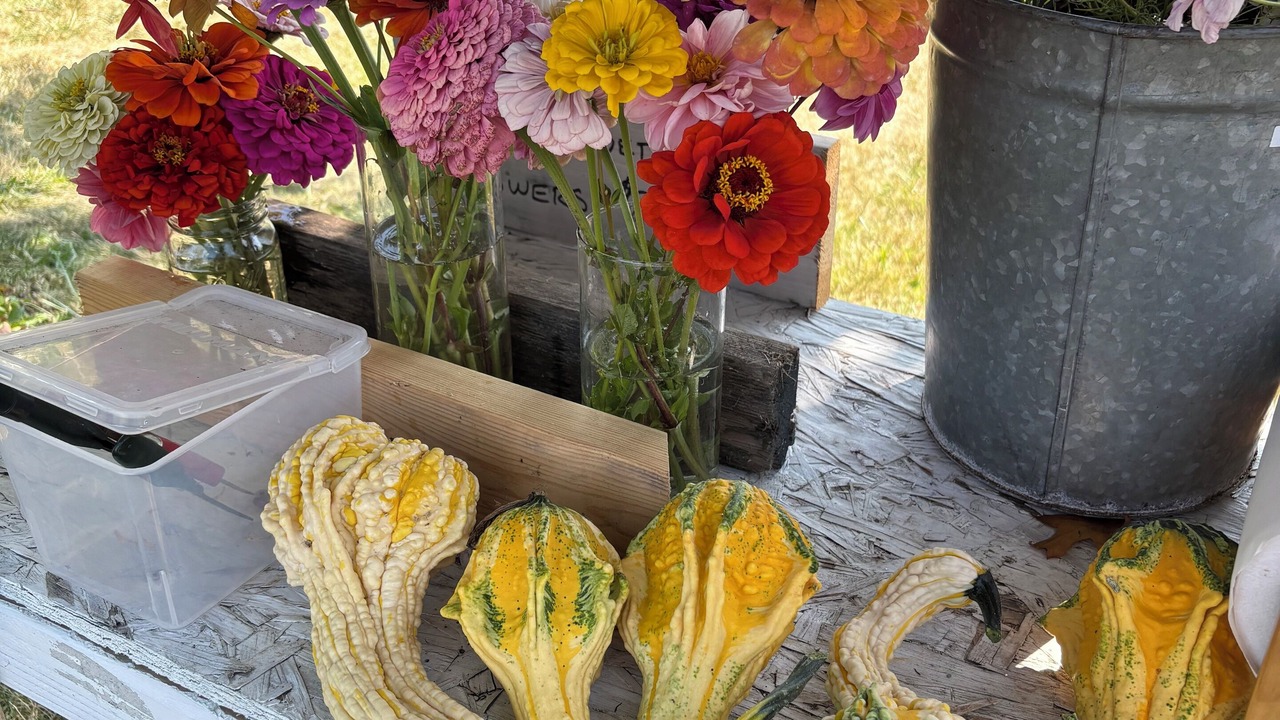 Photo of Others in Hinesburg