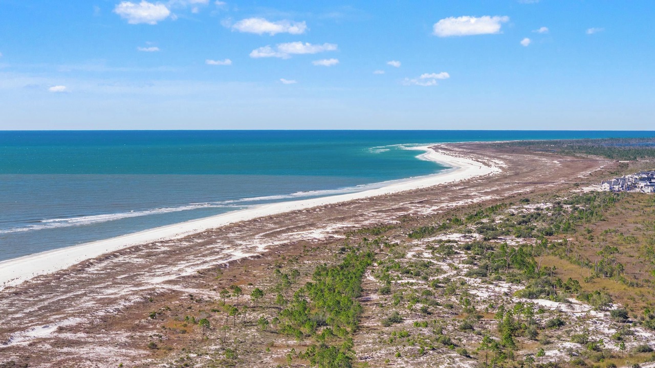 Photo of Outdoor in Mexico Beach